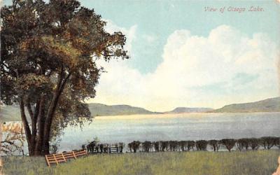 Water View Otsego Lake, New York Postcard