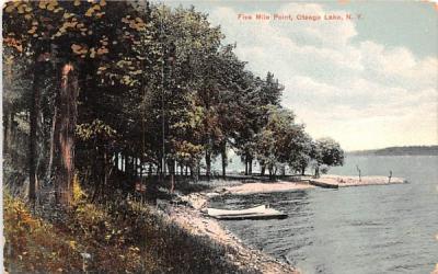 Five Mile Point Otsego Lake, New York Postcard