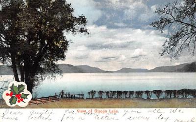 Water View Otsego Lake, New York Postcard