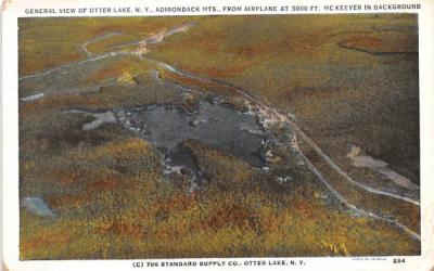 General View Otter Lake, New York Postcard