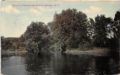 Mouth of Nanticoke Creek Owego, New York Postcard
