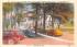 Bald Mountain House Old Forge, New York Postcard