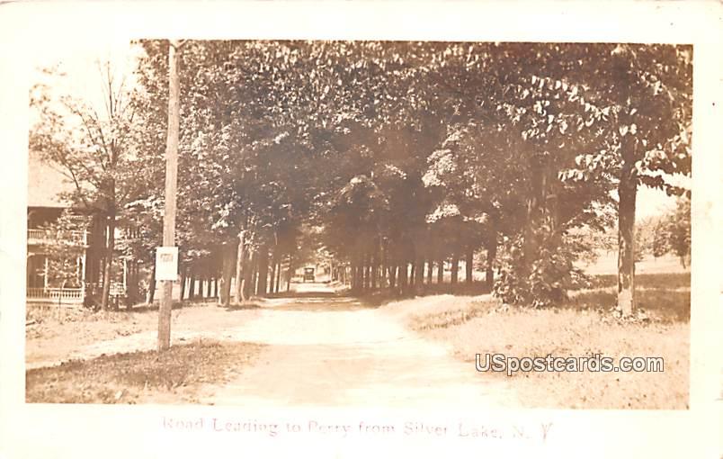 Road from Silver Lake - Perry, New York NY Postcard
