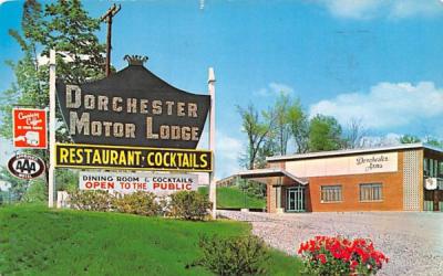 Dorchester Motor Lodge Poughkeepsie, New York Postcard