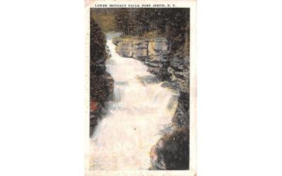 Lower Mongaup Falls Port Jervis, New York Postcard