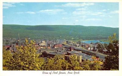 Delaware River Valley Port Jervis, New York Postcard