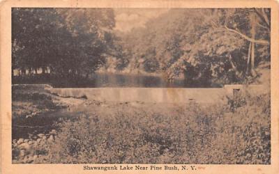 Shawangunk Lake Pine Bush, New York Postcard