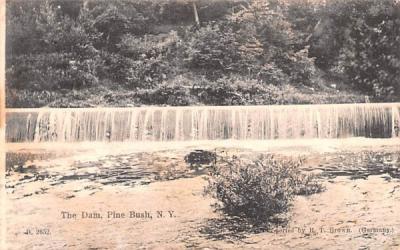 The Dam Pine Bush, New York Postcard