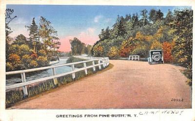 Greetings Pine Bush, New York Postcard