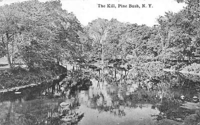 The Kill Pine Bush, New York Postcard
