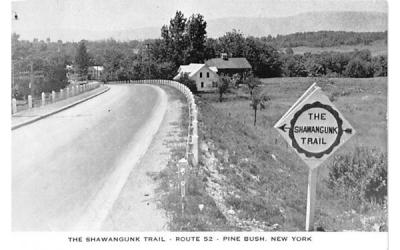 The Shawangunk Trail Pine Bush, New York Postcard