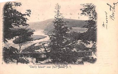 Cherry Island Port Jervis, New York Postcard