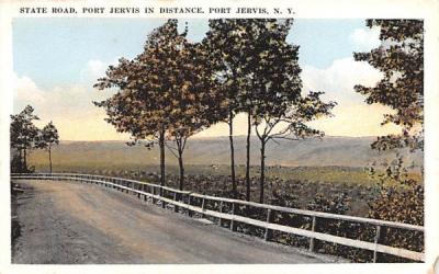State Road Port Jervis, New York Postcard