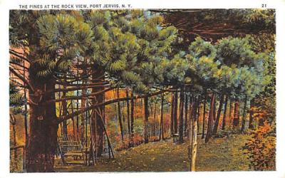 Pines at the Rock View Port Jervis, New York Postcard