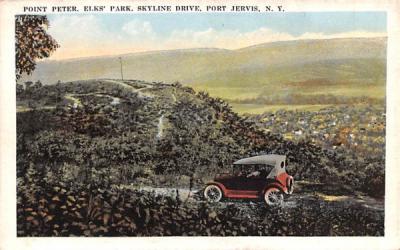 Point Peter Port Jervis, New York Postcard