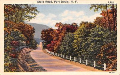 State Road Port Jervis, New York Postcard