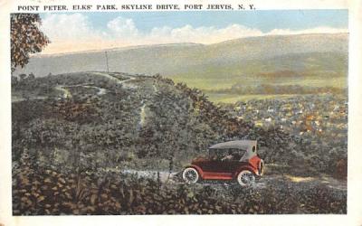 Point Peter Port Jervis, New York Postcard