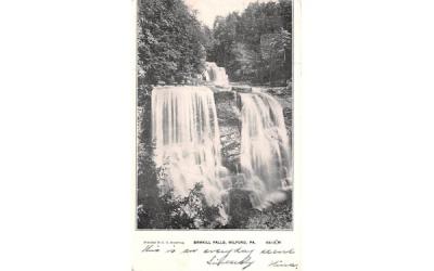 Sawkill Falls Port Jervis, New York Postcard