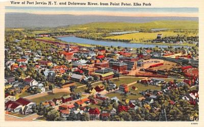 Delaware River from Point Peter Port Jervis, New York Postcard