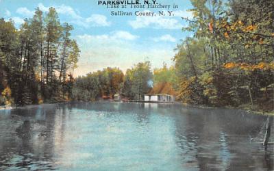 Lake at Trout Hatchery Parksville, New York Postcard