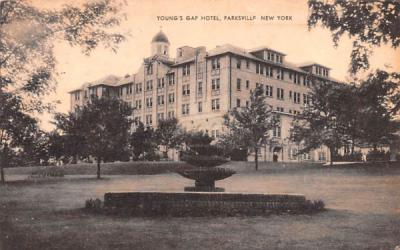 Young's Gap Hotel Parksville, New York Postcard