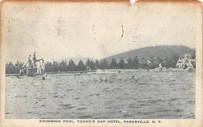 Swimming Pool Parksville, New York Postcard