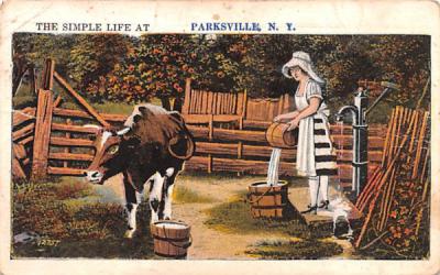 The Simple Life Parksville, New York Postcard