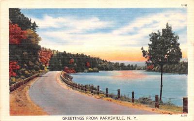 Greetings From Parksville, New York Postcard
