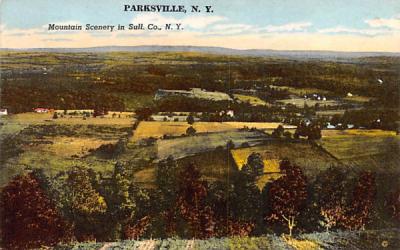 Mountain Scenery Parksville, New York Postcard