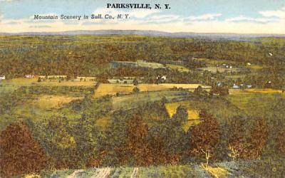 Mountain Scenery Parksville, New York Postcard