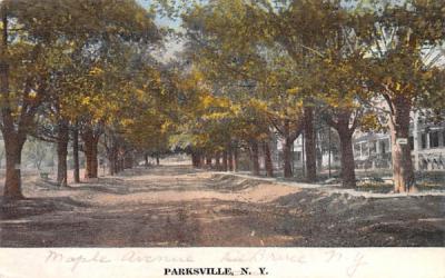 Dirt Road Parksville, New York Postcard