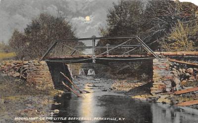 Moonlight on the Little Beaverkill Parksville, New York Postcard