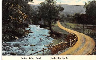 Spring Lake Hotel Parksville, New York Postcard