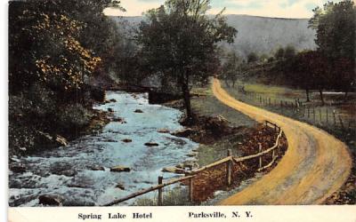 Spring Lake Hotel Parksville, New York Postcard