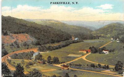 Bird's Eye View Parksville, New York Postcard