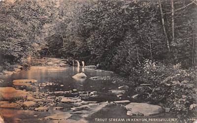 Trout Stream in Kenyon Parksville, New York Postcard