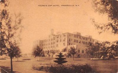 Young's Gap Hotel Parksville, New York Postcard