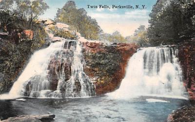 Twin Falls Parksville, New York Postcard