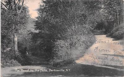 Road to the Falls Parksville, New York Postcard