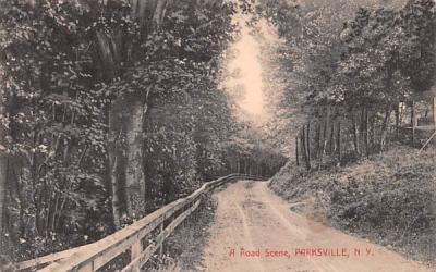 Road Scene Parksville, New York Postcard