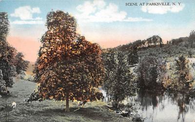 Water Scene Parksville, New York Postcard
