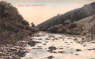 Brook Scene Parksville, New York Postcard