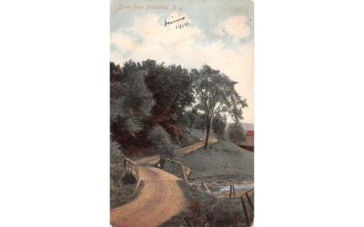 Bridge Parksville, New York Postcard