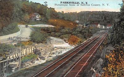 Railroad Tracks Parksville, New York Postcard
