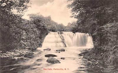 The Falls Parksville, New York Postcard