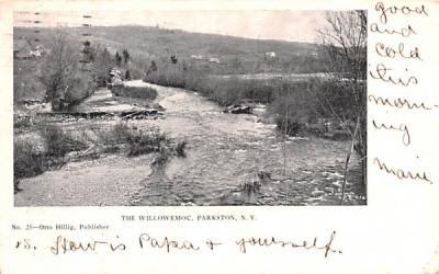 The Willowemoc Parkston, New York Postcard