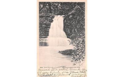The Falls Phillipsport, New York Postcard
