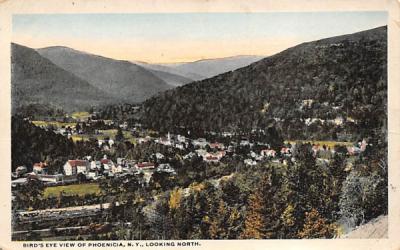 View Of Phoenicia, New York Postcard