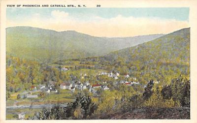 View Of Phoenicia, New York Postcard