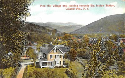 Pine Hill Village New York Postcard